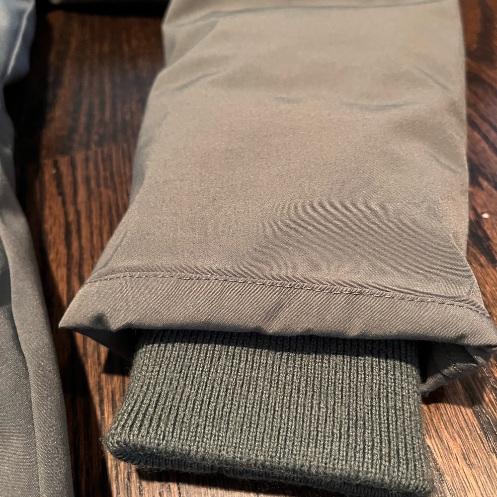 Aritizia Wilfred Northstar Premium Goose Down Parka - Picture 7 of 12